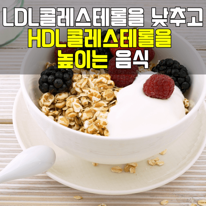 LDL콜레스테롤을 낮추고 HDL콜레스테롤을 높이는 음식