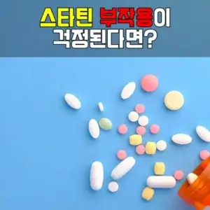 스타틴 부작용 걱정