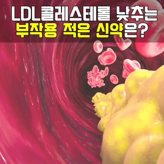 LDL콜레스테롤 낮추기 위한 부작용 적은 신약 리바로젯정