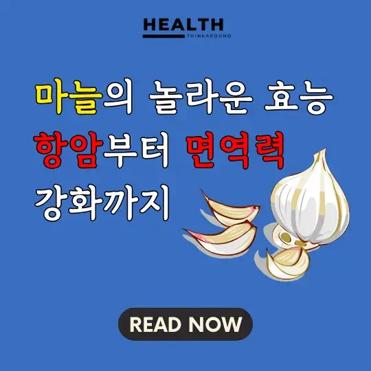 마늘-효능-항암-면역력