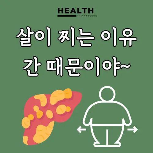 살이 찌는 원인과 신진대사: 간의 중요성 이해하기