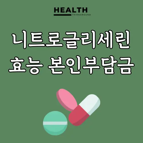 니트로글리세린: 약제비 본인부담금 및 병원급별 상세 가이드