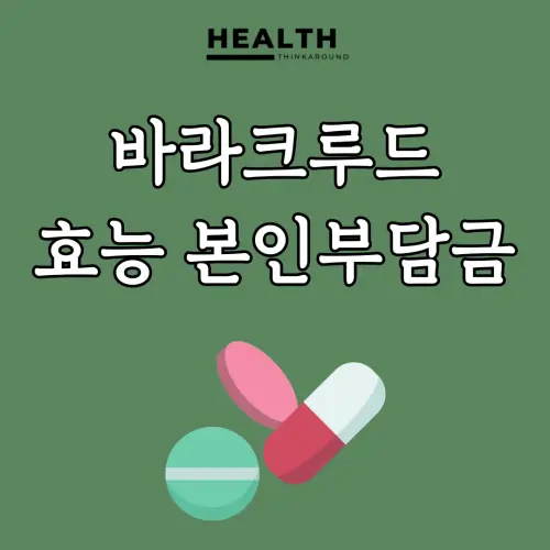 바라크루드 본인부담금 계산 및 효과 분석 | 만성 B형 간염 치료제 정보