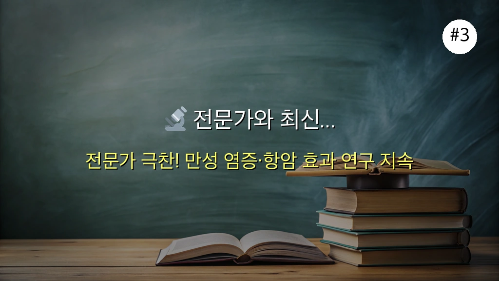 토마토, 당신의 건강에 선사하는 6가지 놀라운 효능 4 토마토 효능 완벽 가이드 2025 관련 이미지: 🔬 전문가와 최신 연구가 말하는 토마토의 가치