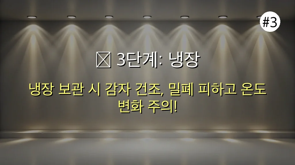 주부 필수! 감자 곰팡이 위험 완벽 대비, 3단계 안전 보관법 총정리 4 주부 필수! 감자 곰팡이 위험, 3단계로 안전하게 보관하는 비법 관련 이미지: ❄ 3단계: 냉장 보관 시, '최후의 보루' 지키기