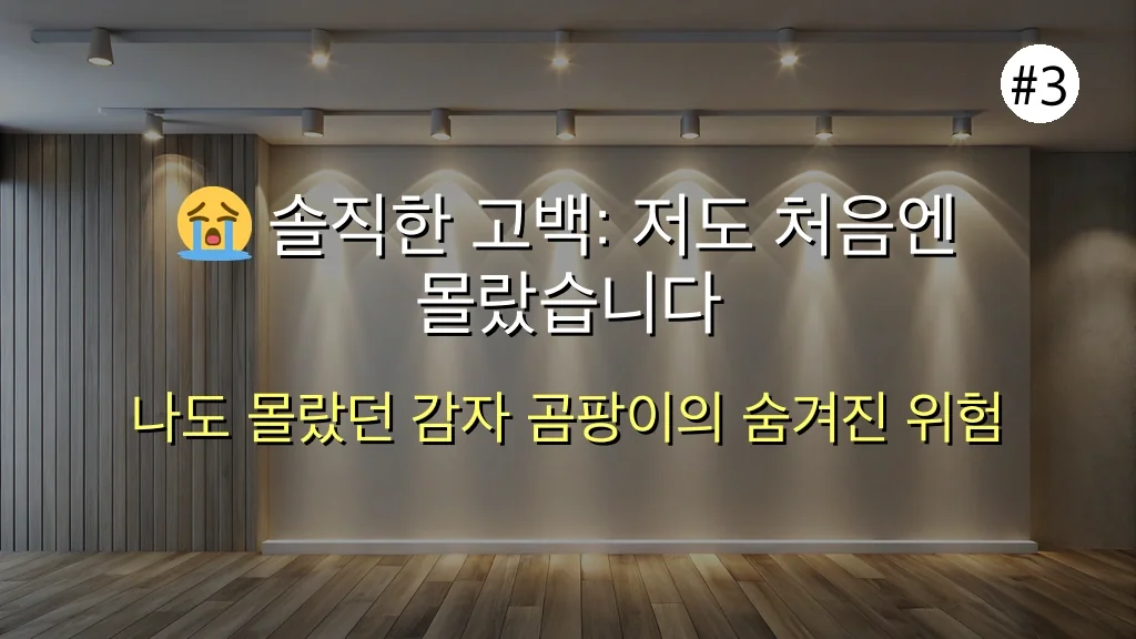 충격! 감자 곰팡이 위험, 생각과 다른 치명적인 오류 3가지 관련 이미지: 😭 솔직한 고백: 저도 처음엔 몰랐습니다