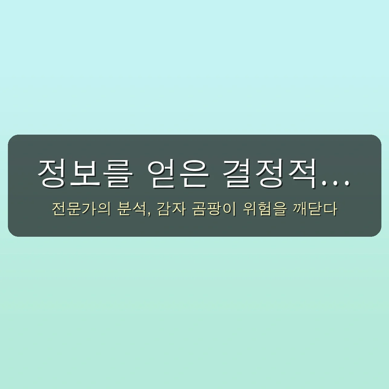 충격! 감자 곰팡이 위험, 생각과 다른 치명적인 오류 3가지 관련 이미지: 정보를 얻은 결정적 계기: 전문가의 냉철한 분석