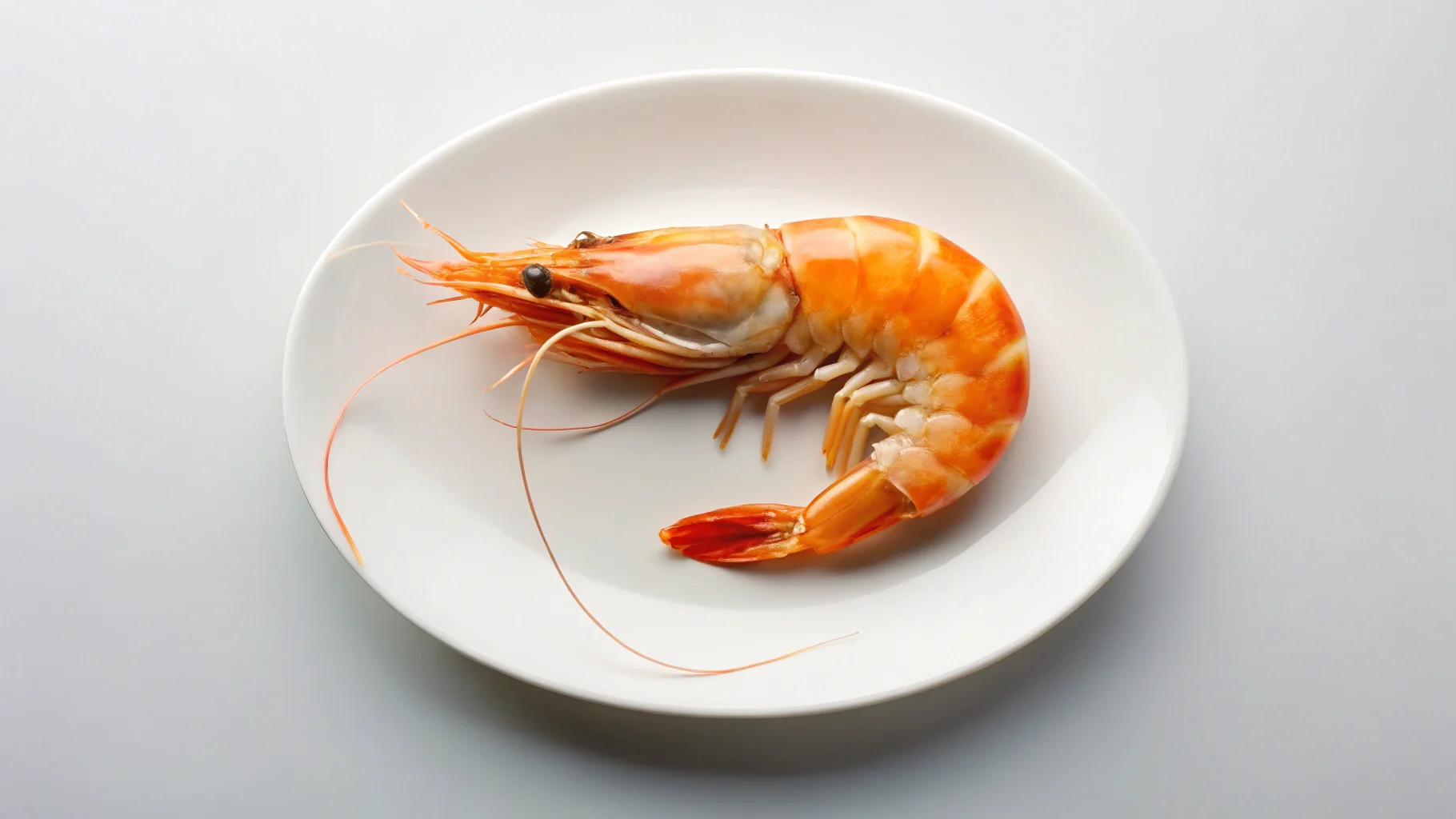 🍤 새우 머리 중금속, 1개월 만에 해결한 주부 꿀팁 완벽 가이드! (안심하고 즐기는 비법) 1 🍤 새우 머리 중금속, 1개월 만에 해결한 주부 꿀팁 완벽 가이드! (안심하고 즐기는 비법)