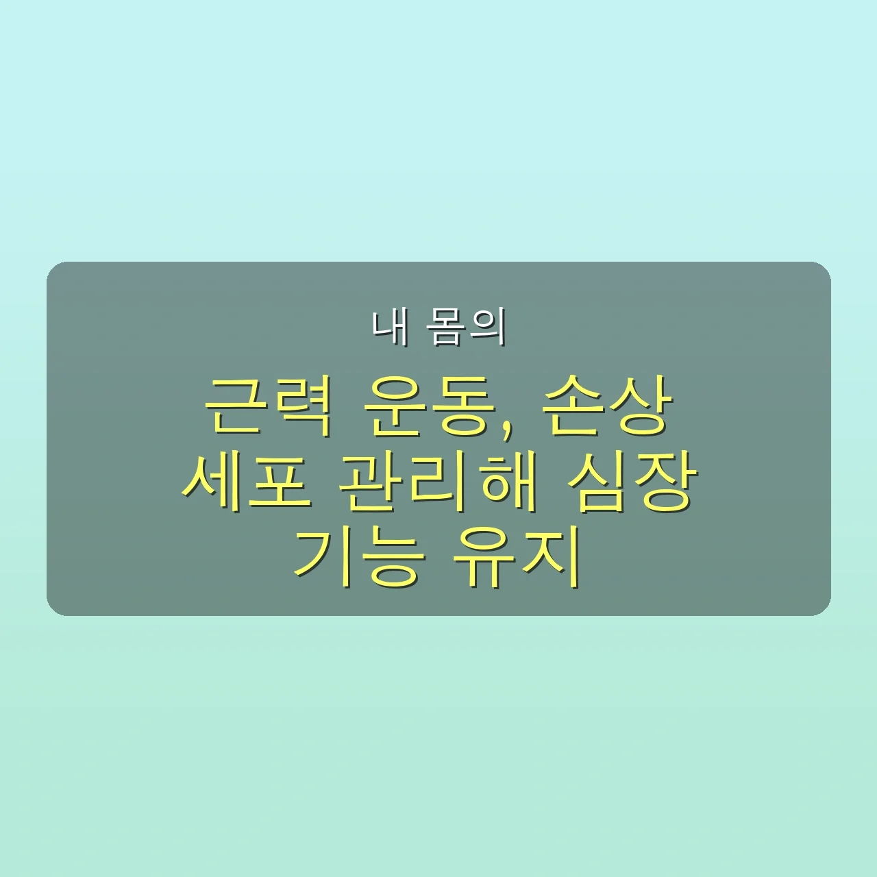 💔 유산소 운동만으로는 부족? 심혈관 질환 생각지도 못한 진짜 원인 3가지, 놓치면 후회할 건강 솔루션 공개! 5 💔 유산소 운동만으로는 부족? 심혈관 질환 생각지도 못한 진짜 원인 3가지, 놓치면 후회할 건강 솔루션 공개!