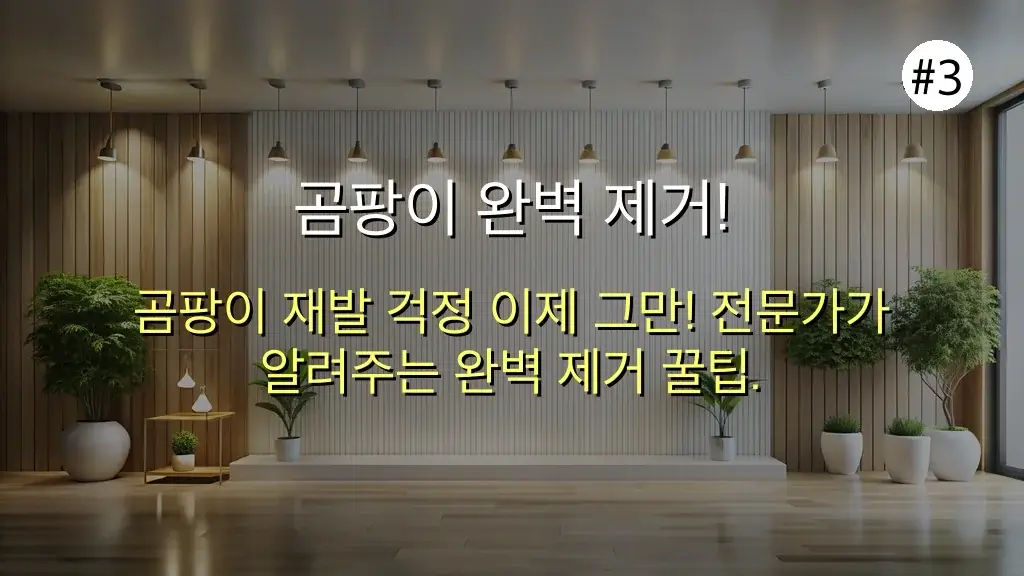 벽지 곰팡이 이제 걱정 끝! 효과 확실한 곰팡이 제거제 추천템 5가지 4 벽지 곰팡이 이제 걱정 끝! 효과 확실한 곰팡이 제거제 추천템 5가지 관련 이미지: 곰팡이 완벽 제거! 전문가가 알려주는 핵심 꿀팁