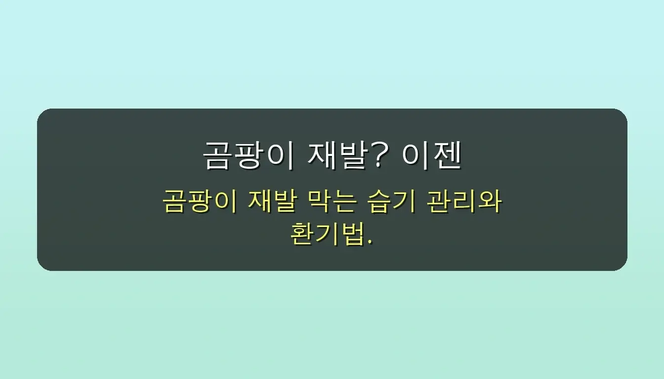 ⚠️ 벽지 곰팡이 제거제, '뿌리면' 오히려 번져요! 전문가의 완벽 제거부터 재발 방지까지 7단계 비법 (2025년 최신 가이드) 5 곰팡이 제거제 잘못 쓰면 번져요! 벽지 곰팡이 완벽 제거 비법 공개 관련 이미지: 곰팡이 재발? 이젠 안녕! 건강한 실내를 위한 완벽 예방 꿀팁
