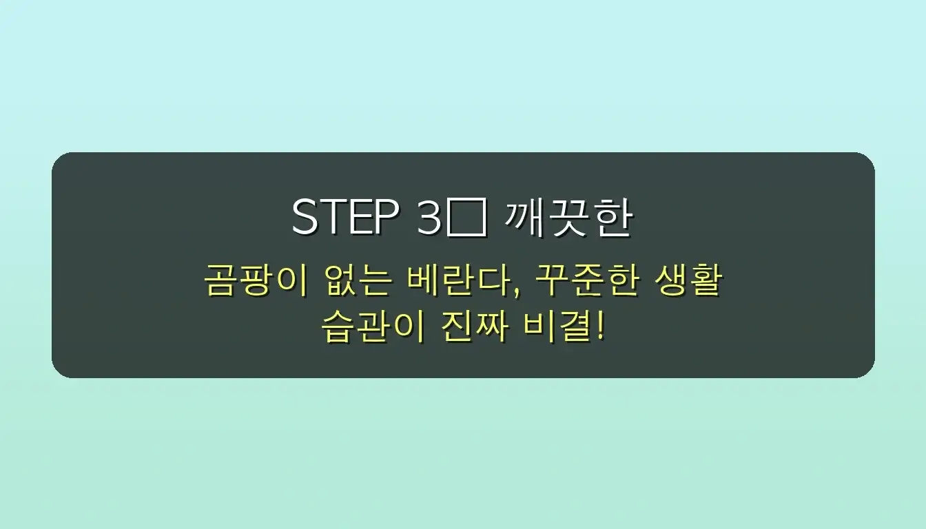 😱 베란다 곰팡이 셀프 제거, 진짜 효과 있을까? 락스부터 재발 방지까지! 완벽 해결 5단계 가이드 ✨ 5 진짜 효과 있을까? 베란다 곰팡이 셀프 제거 후기 관련 이미지: STEP 3⃣ 깨끗한 베란다 유지 비결! 곰팡이 없는 생활 습관 만들기