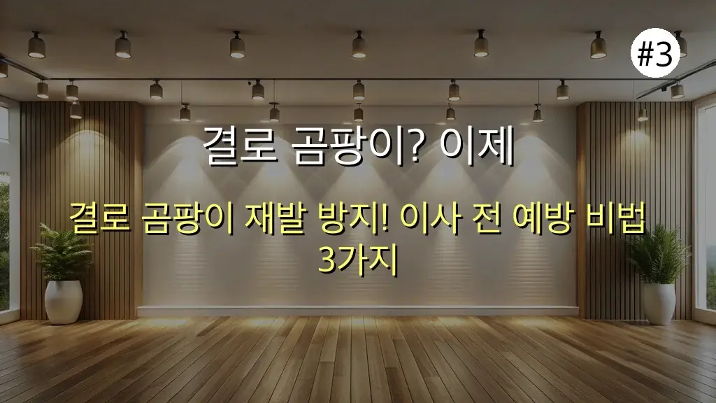 이사 전 필수! 벽지·결로 곰팡이, 이젠 안녕! 완벽 제거 & 예방 꿀팁 (feat. 곰팡이 제거제) 4 이사 전 필수! 벽지 곰팡이 결로 곰팡이 미리 관리하는 법 (feat. 곰팡이 제거제) 관련 이미지: 결로 곰팡이? 이제 그만! 미리 예방하는 특급 비법 3가지