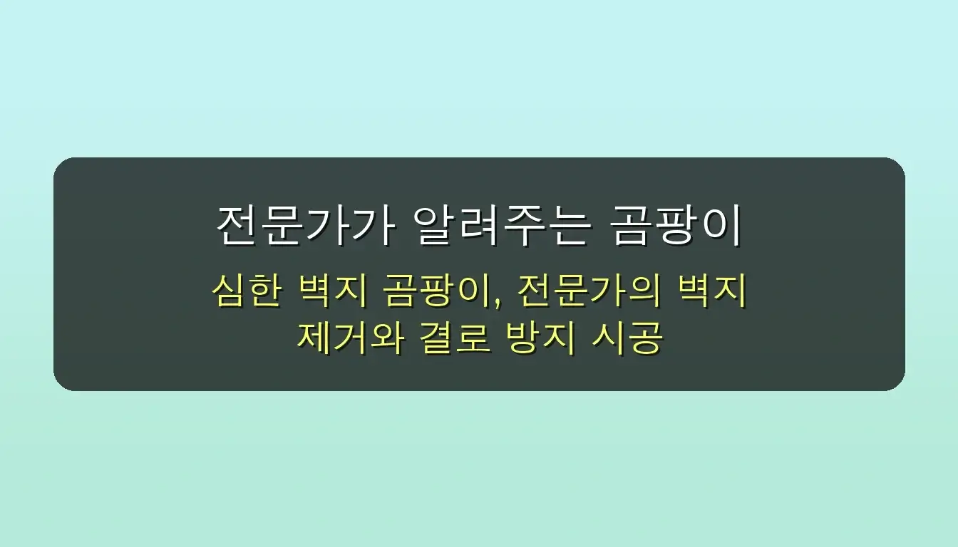 이사 전 필수! 벽지·결로 곰팡이, 이젠 안녕! 완벽 제거 & 예방 꿀팁 (feat. 곰팡이 제거제) 5 이사 전 필수! 벽지 곰팡이 결로 곰팡이 미리 관리하는 법 (feat. 곰팡이 제거제) 관련 이미지: 전문가가 알려주는 곰팡이 완전 정복 시크릿! 🤫