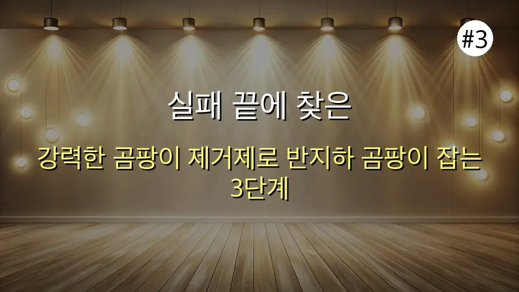 꿉꿉함 OUT! 반지하 원룸 곰팡이 완벽 제거 ✨ 자취생이 쾌적하게 만드는 필승 전략 (2025년 최신판) 4 반지하 원룸 필수템! 곰팡이 제거제로 쾌적한 집 만들기 (feat. 자취생 후기) 관련 이미지: 실패 끝에 찾은 반지하 곰팡이 해결 3단계! (자취생 필승 전략)