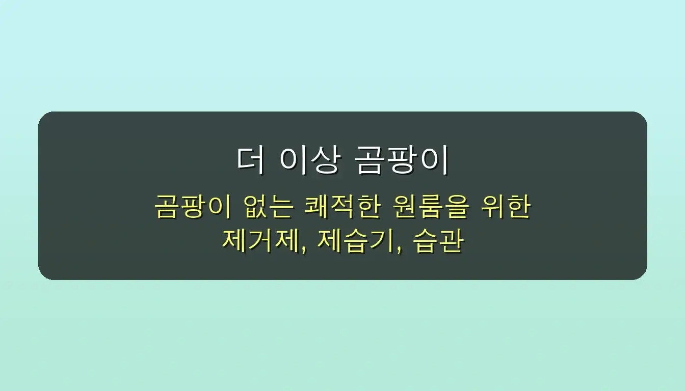 반지하 원룸 필수템! 곰팡이 제거제로 쾌적한 집 만들기 (feat. 자취생 후기) 관련 이미지: 더 이상 곰팡이 걱정 없는 쾌적한 원룸! 건강한 자취 생활의 시작!