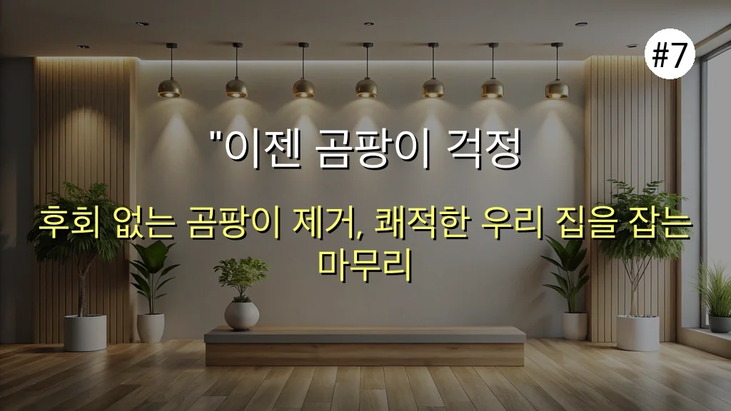 벽 속 곰팡이까지 잡는 곰팡이 제거제 후회 없는 선택 가이드 관련 이미지: 