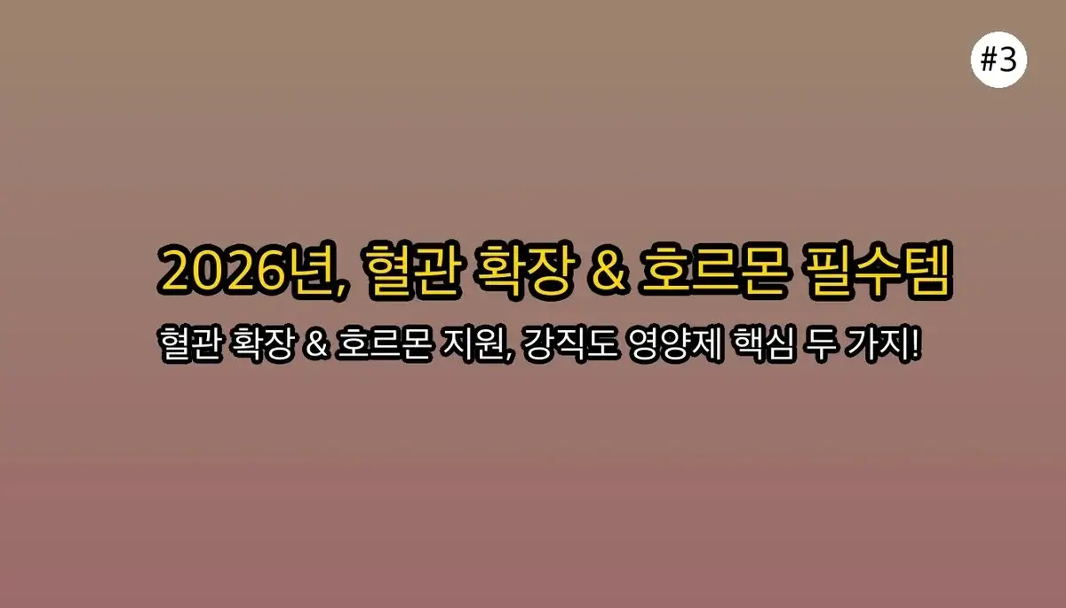 남자 강직도 영양제 완벽 가이드 2025 관련 이미지: 🔥 2026년 기준, 이것만은 꼭 챙기세요! (핵심 성분 2가지)