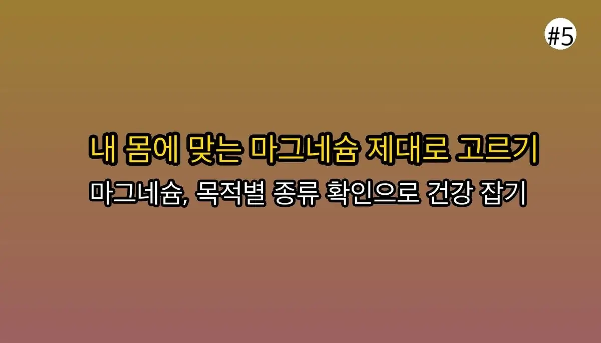 마그네슘 선택  기준 완벽 가이드 2025 관련 이미지: 이제 마그네슘 유목민 생활, 끝내세요