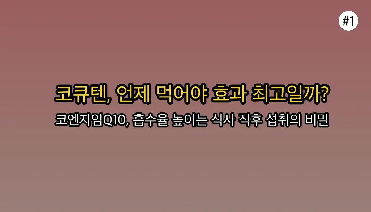 코엔자임Q10복용시간 완벽 가이드 2025 관련 이미지: 코엔자임Q10, 언제 먹어야 효과 제대로 볼까요?