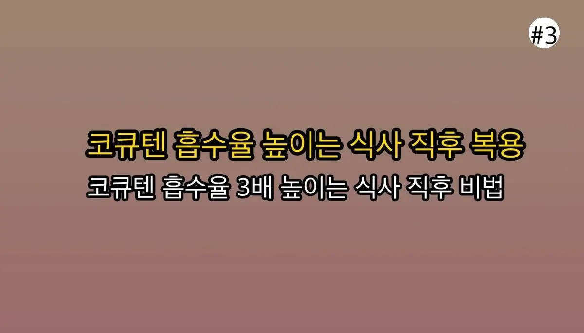 코엔자임Q10복용시간 완벽 가이드 2025 관련 이미지: ⏰ 흡수율 3배 높이는 복용 '골든타임'은 언제일까?