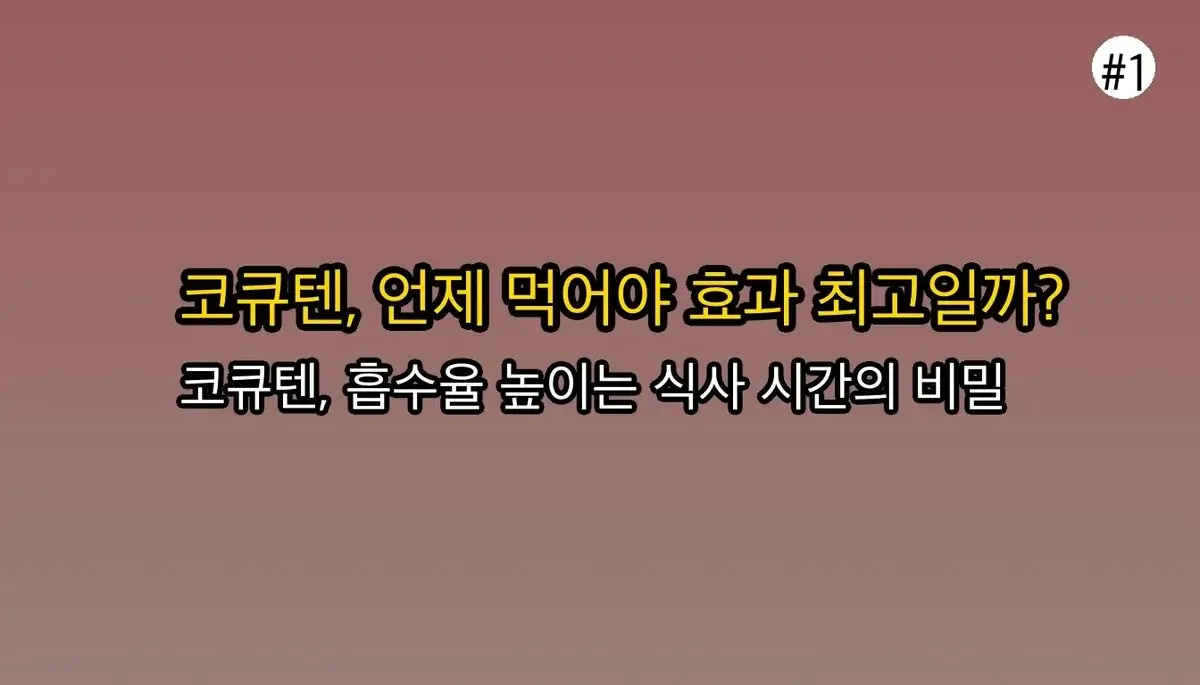 코엔자임Q10복용시간 초보자를 위한 팁 관련 이미지: 코엔자임Q10, 먹는 시간이 효과를 결정해요