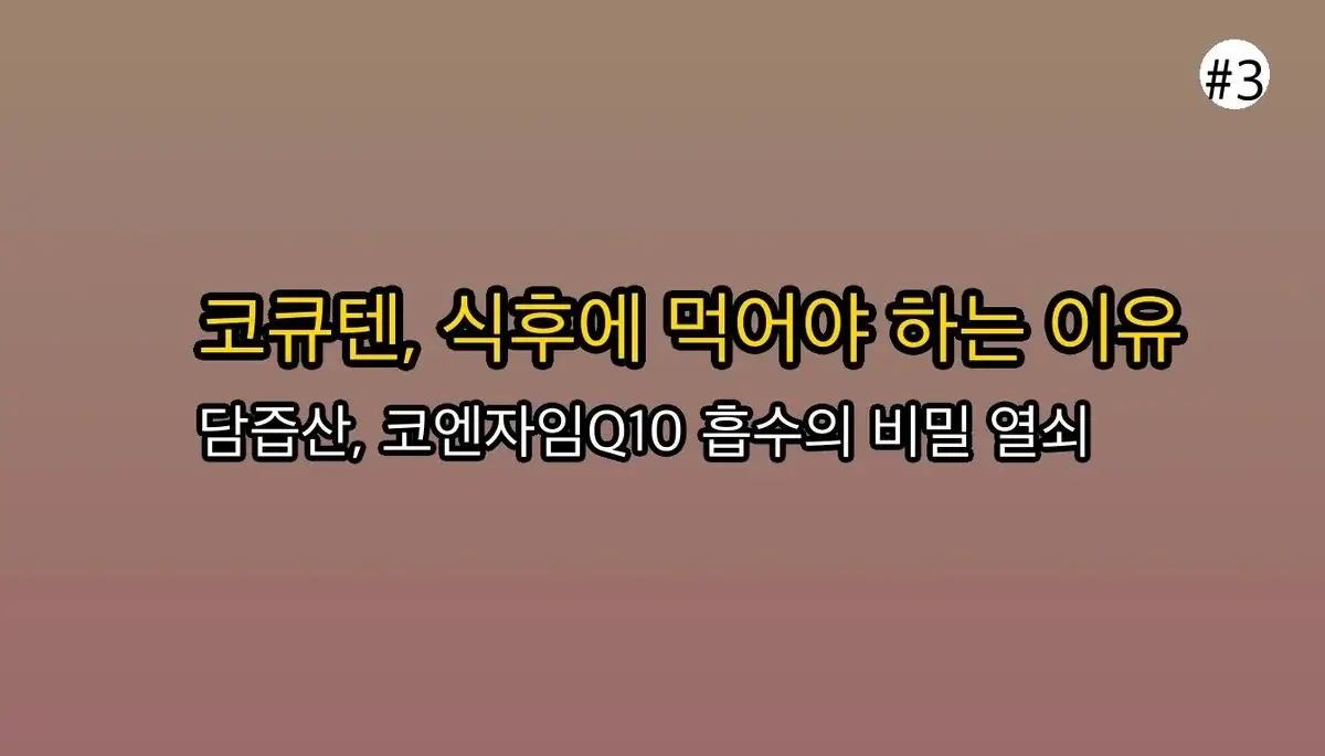 코엔자임Q10복용시간 초보자를 위한 팁 관련 이미지: 🤔 왜 꼭 '식사 후'에 먹어야 할까요?