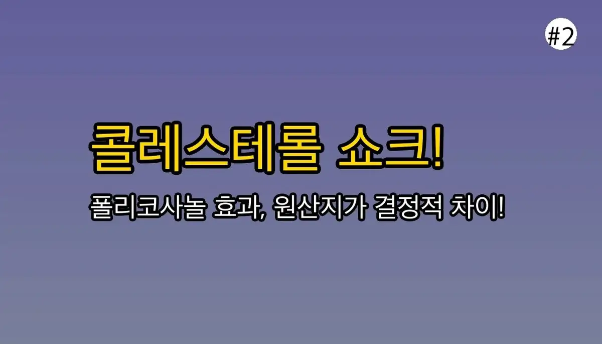 폴리코사놀 선택 기준 완벽 가이드 2025 관련 이미지: 🤔 왜 똑같이 먹어도 효과가 천차만별일까요?