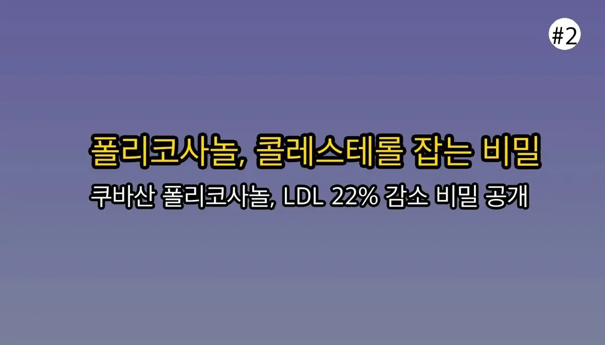 폴리코사놀 효능 완벽 가이드 2025 관련 이미지: 🤔 대체 폴리코사놀이 뭐길래 효과가 있나요?