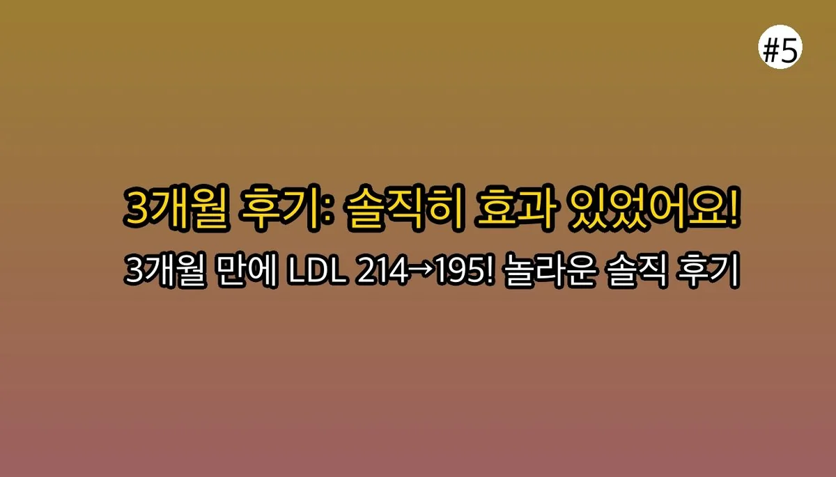 레이델폴리코사놀 관련 이미지: 그래서 3개월 먹어보니, 진짜 효과 있었을까요? (솔직 후기)