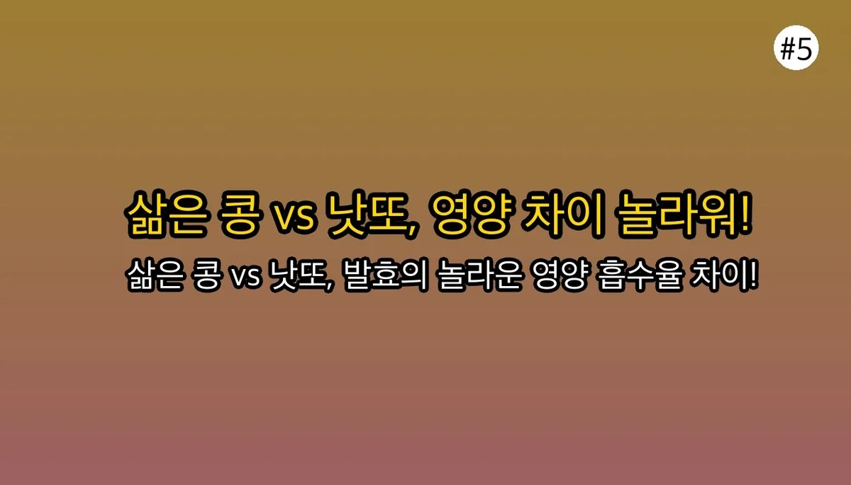 낫또효능 관련 이미지: 그냥 삶은 콩 vs 낫또, 영양 차이가 클까요?
