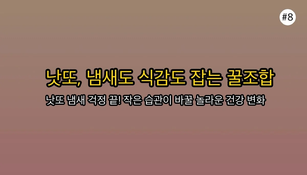 낫또효능 관련 이미지: 당신의 식탁에 오를 자격, 충분해요