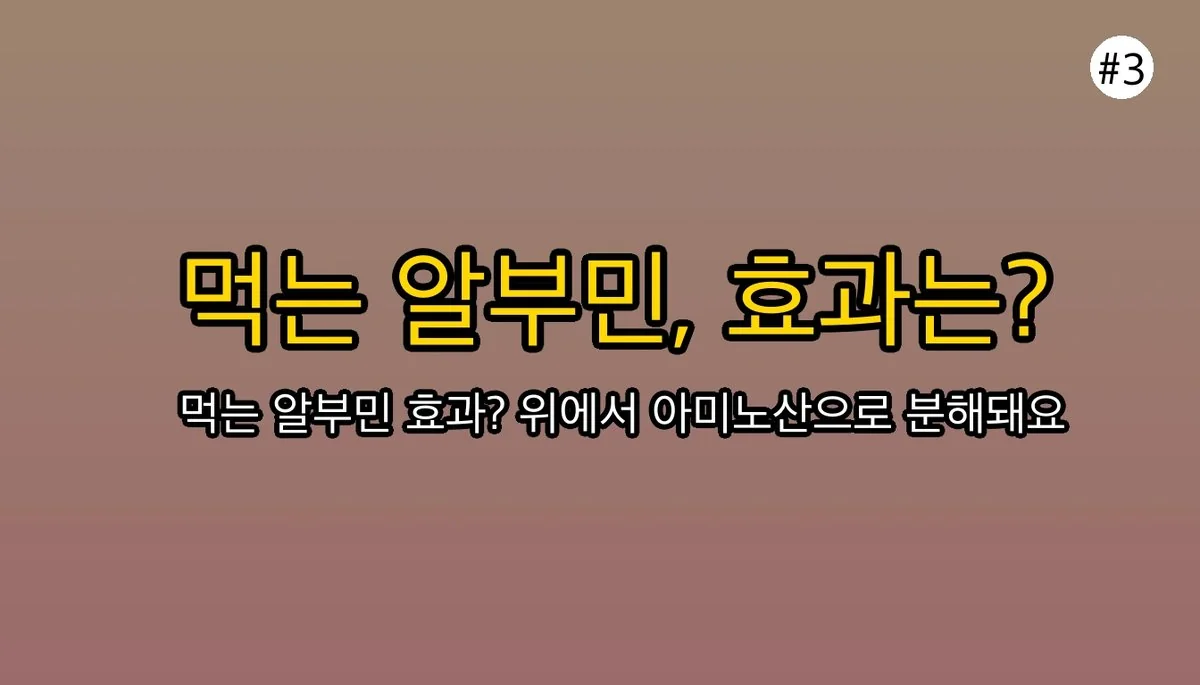알부민 효능, 영양제 효과의 진실 (2026 최신 연구 총정리) 4 알부민 효능 관련 이미지: 🚨 여기서 잠깐! '먹는 알부민' 영양제의 충격적인 진실