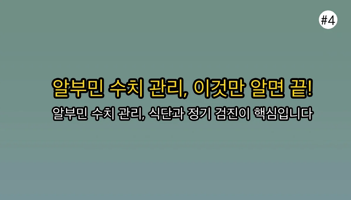 알부민 효능, 영양제 효과의 진실 (2026 최신 연구 총정리) 5 알부민 효능 관련 이미지: 그럼 알부민 수치는 어떻게 관리해야 할까요?