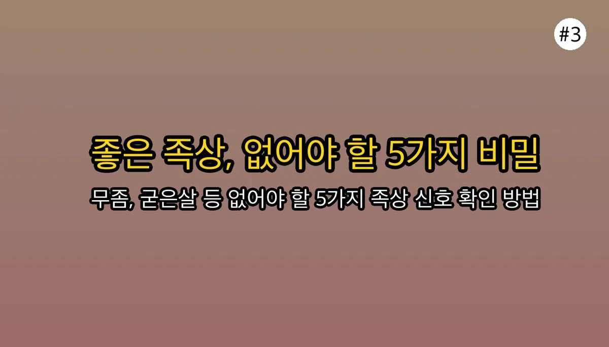 족상 보는 방법 관련 이미지: 전문가가 말하는 좋은 족상의 비밀: '없어야 할 5가지'