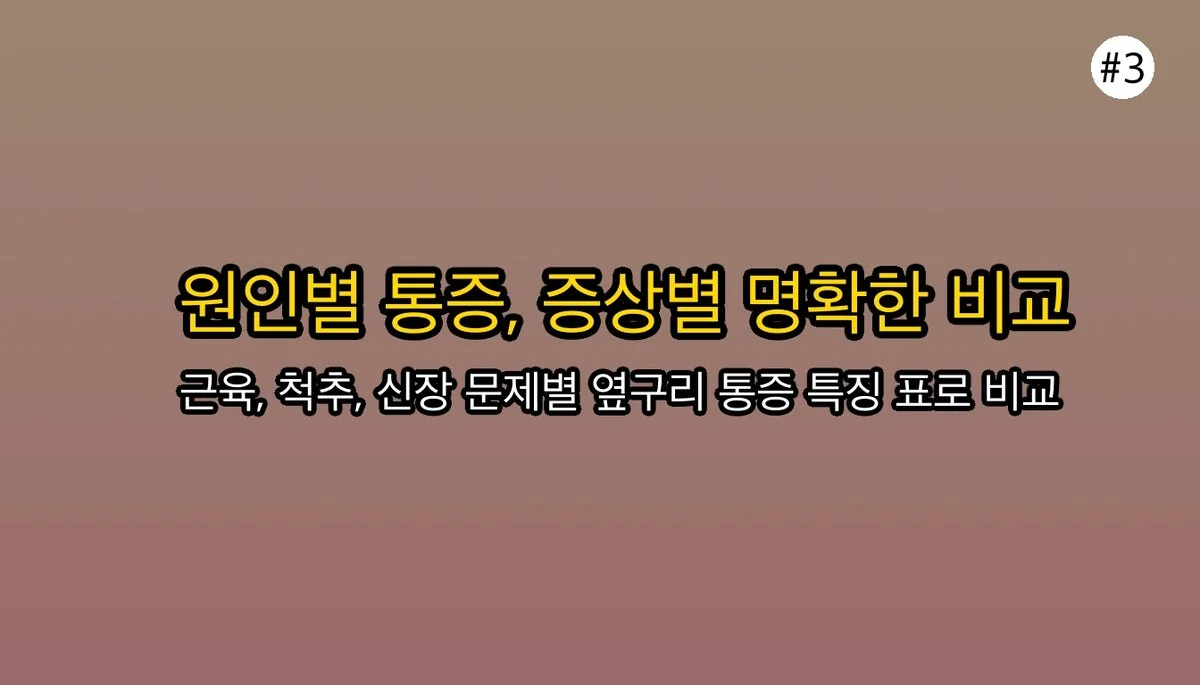 왼쪽 옆구리 통증 관련 이미지: 한눈에 보는 원인별 통증 특징 비교