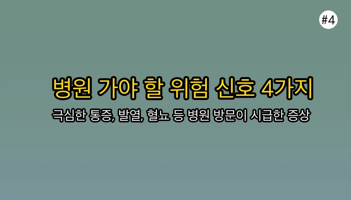 왼쪽 옆구리 통증 관련 이미지: 🚨 이럴 땐 무조건 병원으로! 위험 신호 4가지