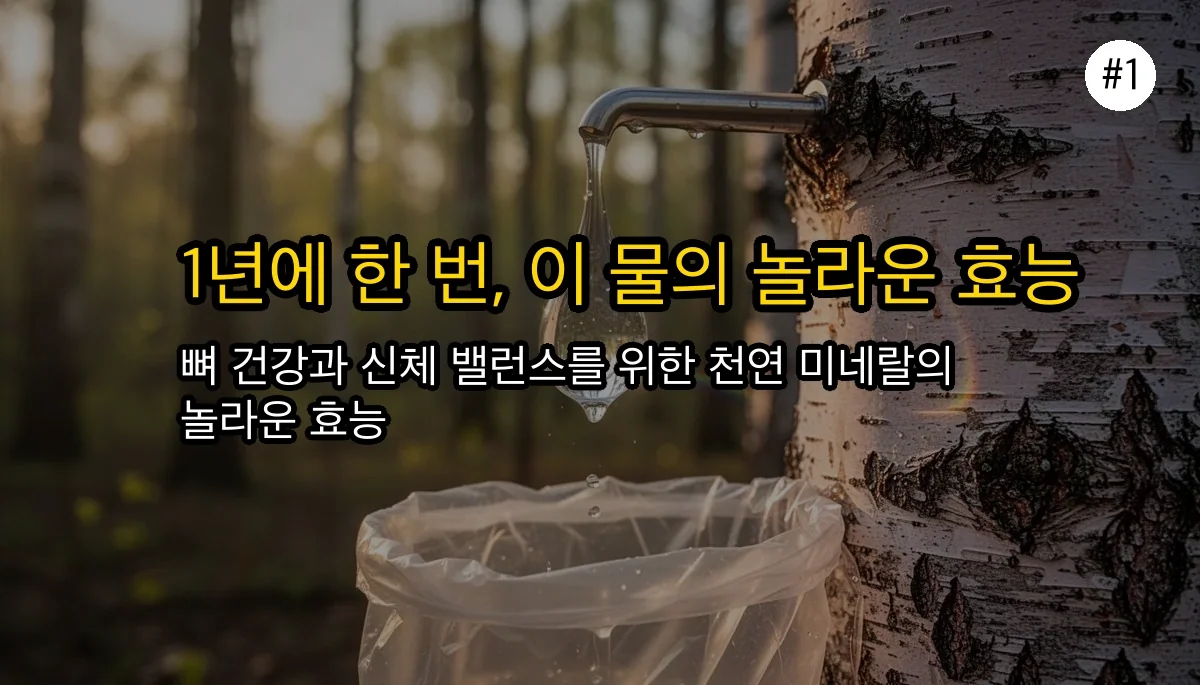 고로쇠물 효능 관련 이미지: 1년에 딱 한 달, 아는 사람만 챙겨 마시는 '이 물'의 정체