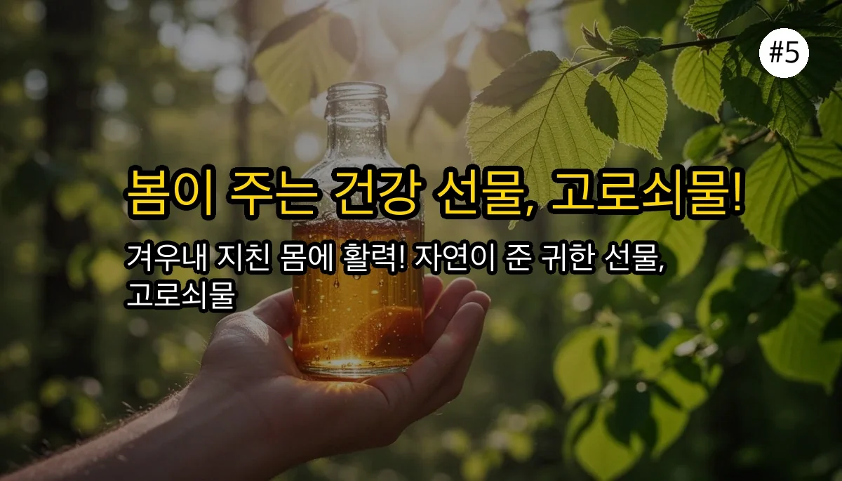고로쇠물 효능 관련 이미지: 1년의 기다림, 봄이 주는 가장 건강한 선물