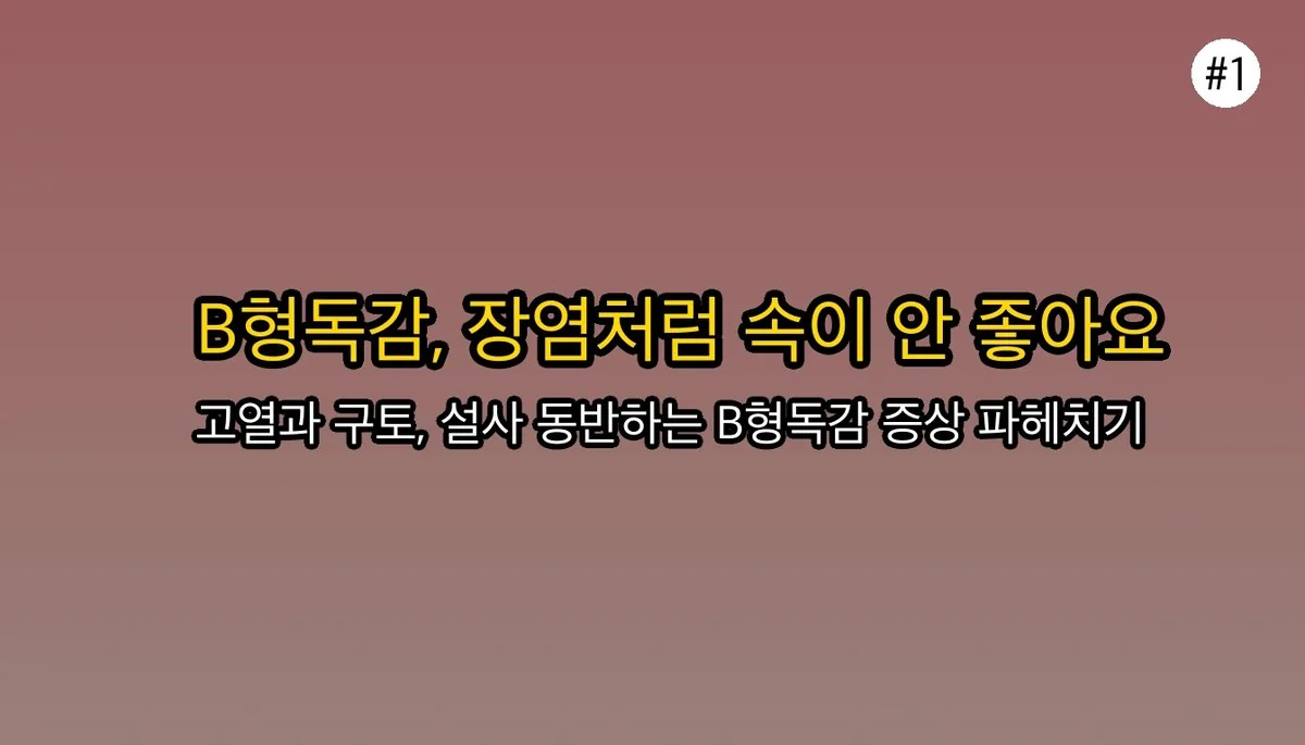 B형독감증상에 대한 전문 분석 2 B형독감증상 관련 이미지: 요즘 유행하는 B형독감, 증상이 좀 특이해요