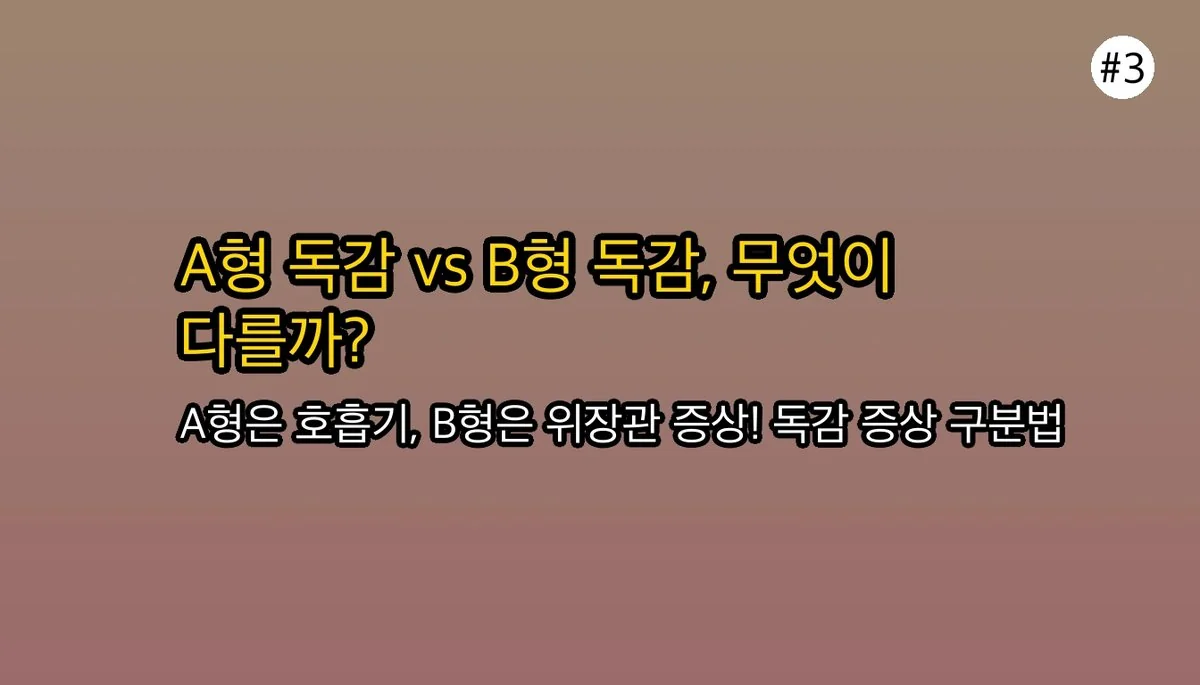 B형독감증상에 대한 전문 분석 4 B형독감증상 관련 이미지: 🤔 A형독감이랑은 어떻게 다른가요?