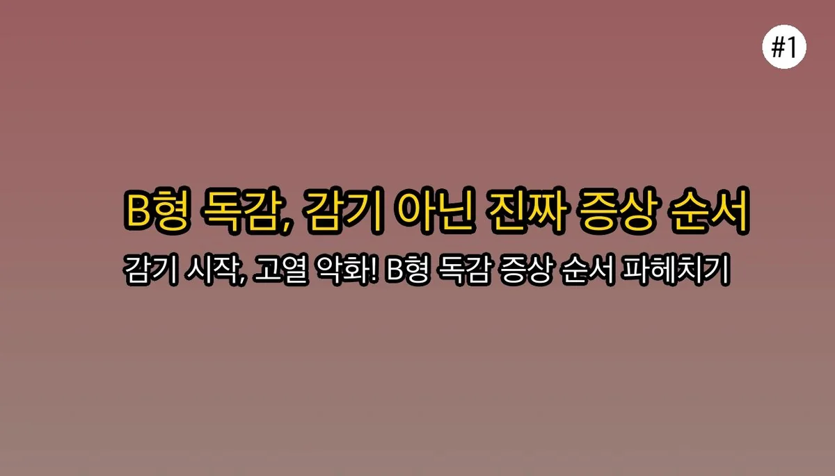 B형독감증상순서 관련 이미지: 감기인 줄 알았다가 큰코다친 B형 독감 증상 순서