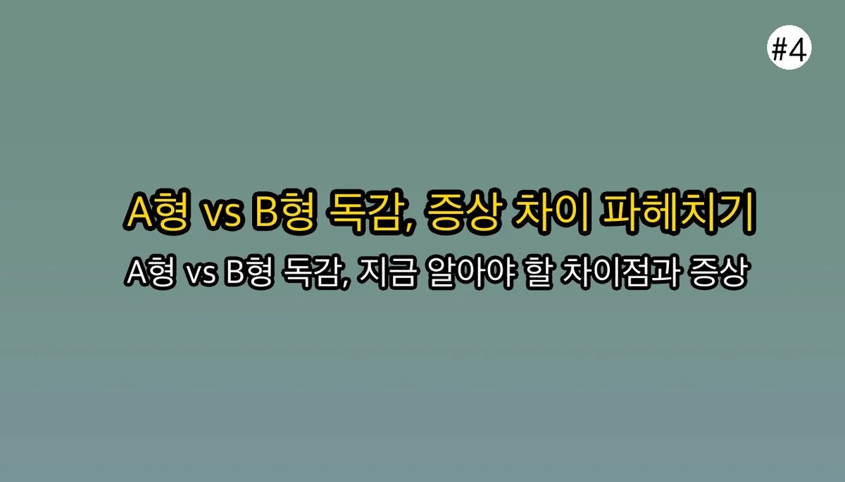 B형독감증상순서 관련 이미지: A형 독감 vs B형 독감, 뭐가 다른 걸까요?