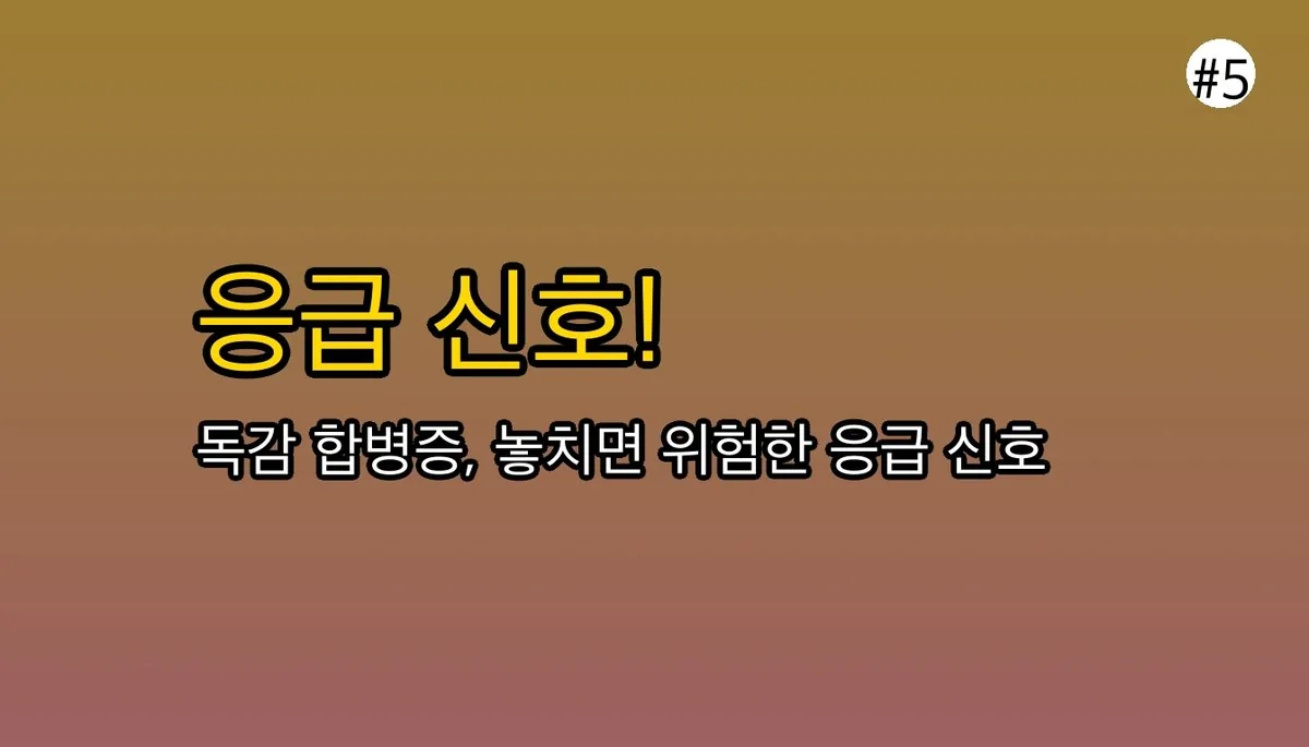 성인B형독감증상 관련 이미지: 🚨 이럴 땐 무조건 병원으로 가세요! (응급 신호)