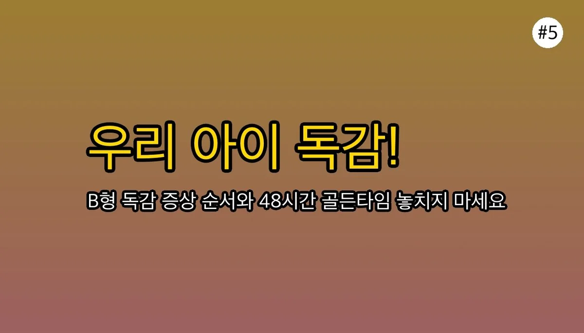 유아B형독감증상순서 관련 이미지: 우리 아이를 위한 가장 확실한 대비책