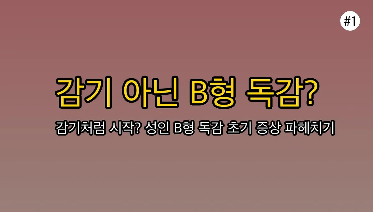 성인B형독감증상순서 관련 이미지: 감기인 줄 알았는데… 혹시 B형 독감?