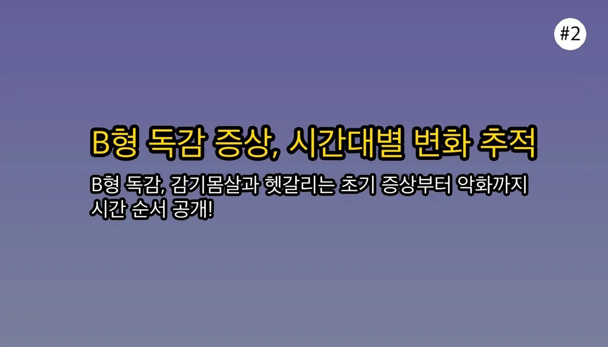 성인B형독감증상순서 관련 이미지: 🗓 시간대별 B형 독감 증상 순서, 어떻게 진행될까요?
