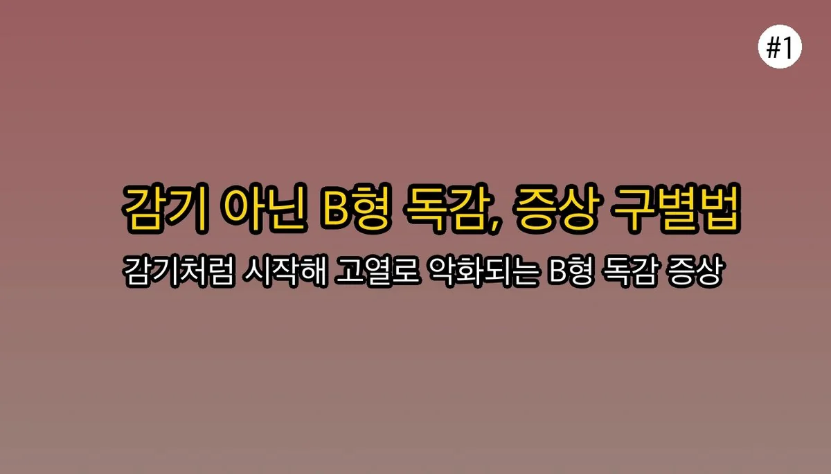 성인B형독감증상순서 관련 이미지: 감기인 줄 알았는데… 혹시 B형 독감?