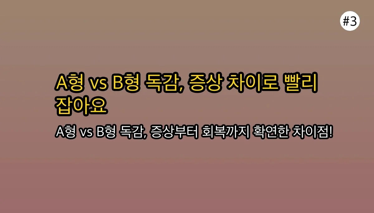 성인B형독감증상순서 관련 이미지: 🤔 A형 독감이랑은 뭐가 다른가요?