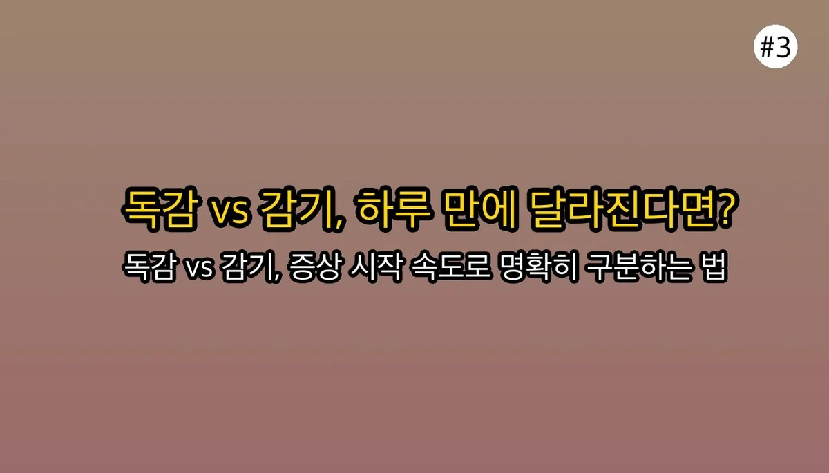 B형독감증상순서기침 관련 이미지: 독감 vs 감기, 결정적인 차이점 딱 하나만 기억하세요